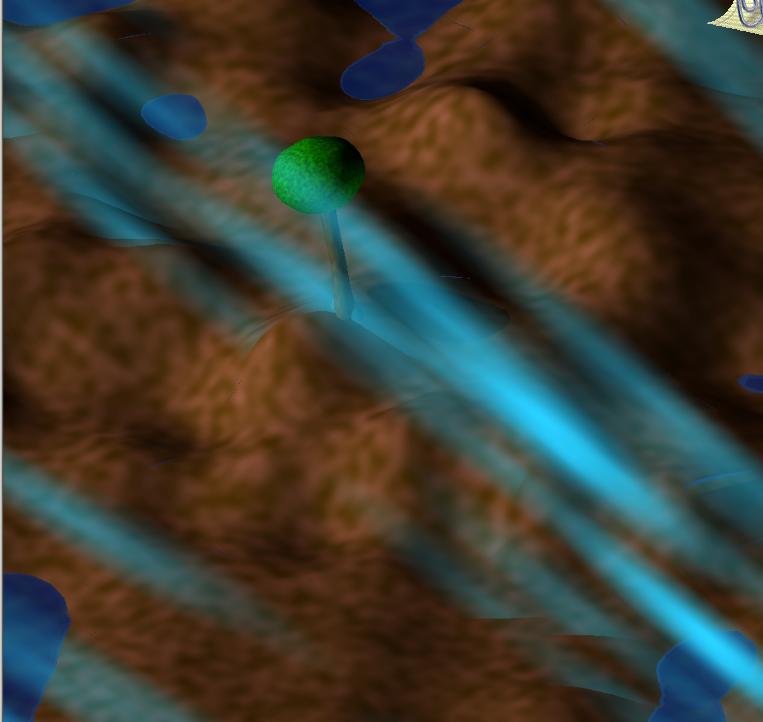 islandtreesway.jpg